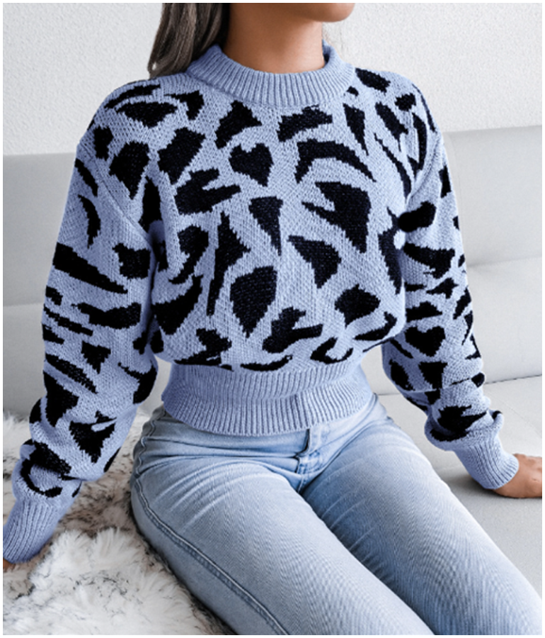 Girl's Leopard Pattern Sweater - Blue