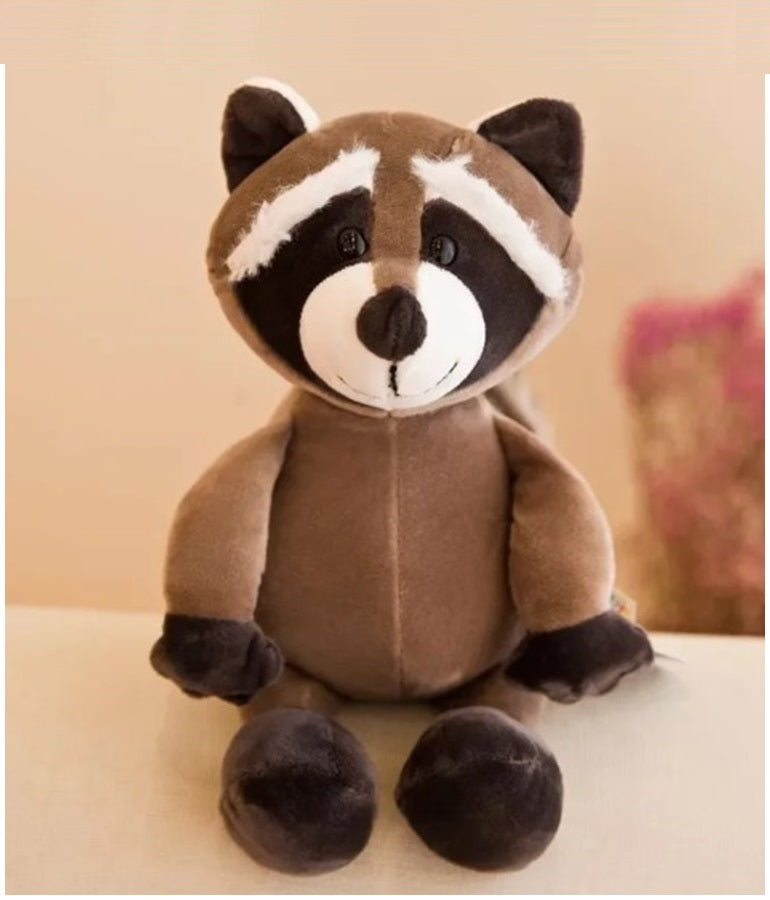 Rocco the Raccoon