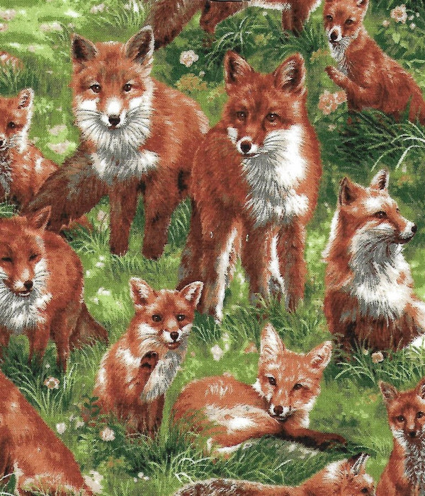 Fox (bandana bib)